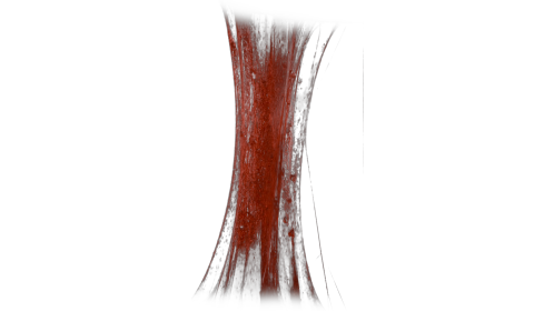 (4K) Bloody Vertical Slime Pull 9