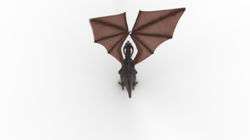 (4K) Mountain Dragon Take Off Top