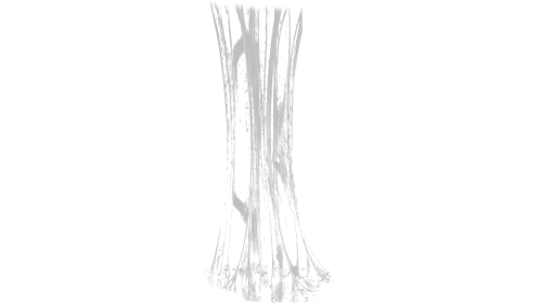 (4K) Vertical Slime Pull Up 2