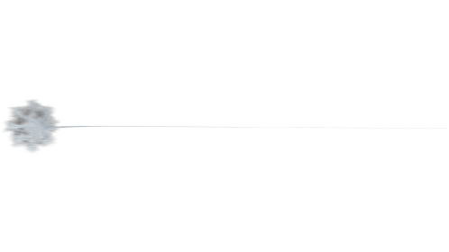 (4K) Web Style 2 Medium 5