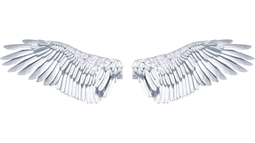 Angel Wings Opening Front 2