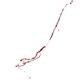 Blood Splatter Slice Wall 1