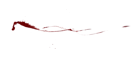 Blood Splatter Slice Wall 4