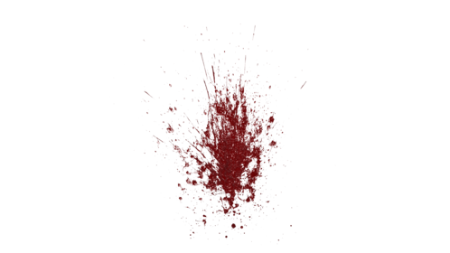 Blood Splatter Wall Large 11