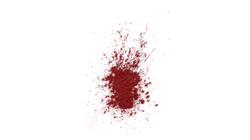Blood Splatter Wall Large 2