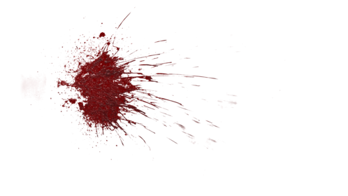 Blood Splatter Wall Large 4