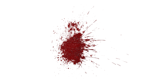 Blood Splatter Wall Large 6