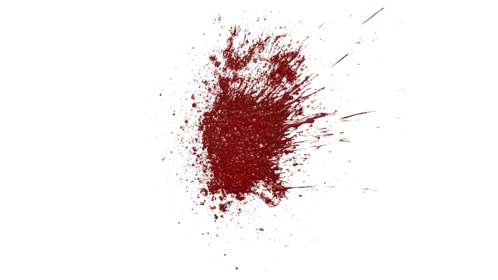 Blood Splatter Wall Large 8
