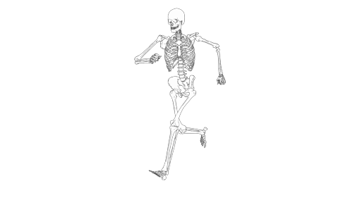 Cartoon Skeleton Running Quarter 
