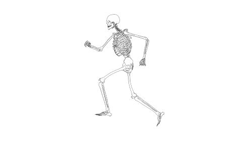 Cartoon Skeleton Running Side 