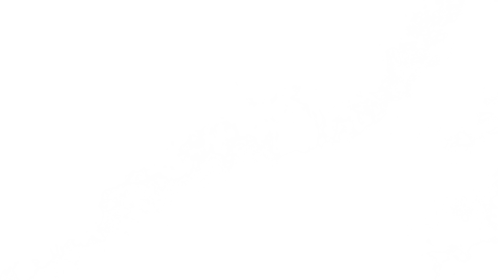 Fog Burst Sideways 1