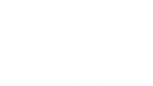 Fog From Below 2