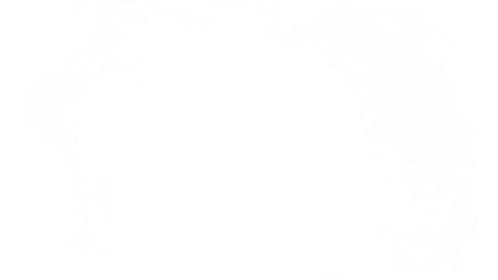 Fog From Below 7