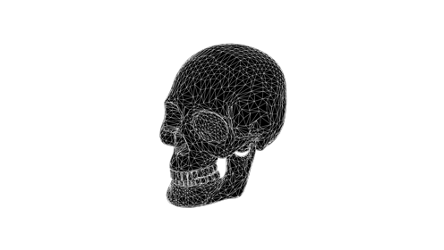 Glitchy Skull Oscillate 