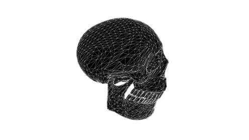 Glitchy Skull Twist Quarter 