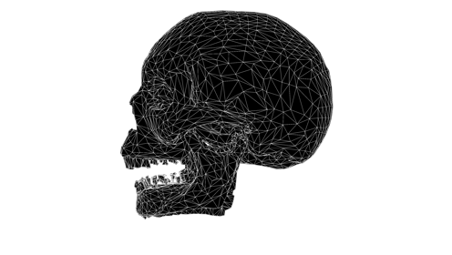 Glitchy Skull Wavy Side 