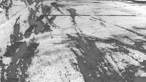 Ground Snow 6