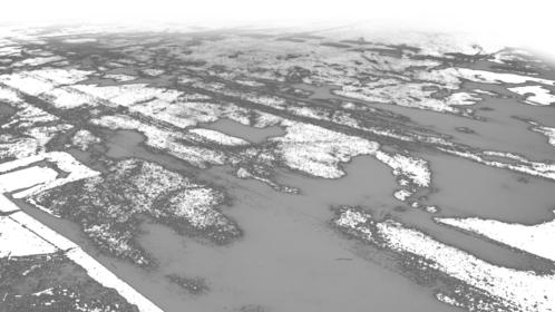 Ground Snow 7