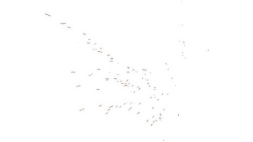 Impact Spark 1