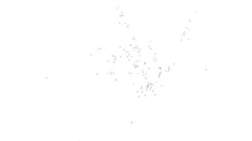 Impact Sparks 5