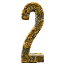 Infected 2
