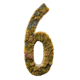 Infected 6