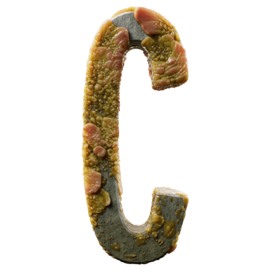 Infected C