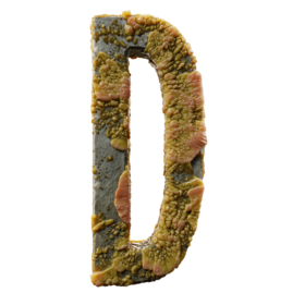 Infected D