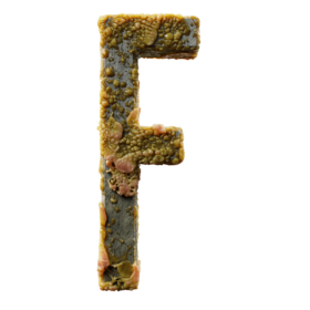 Infected F