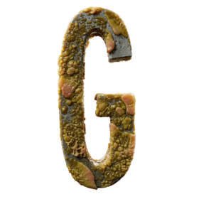 Infected G
