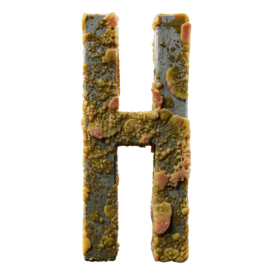 Infected H