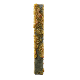 Infected I