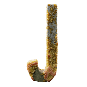 Infected J