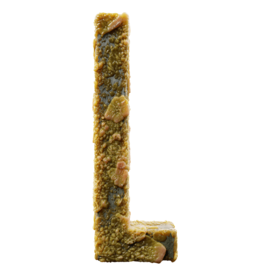 Infected L