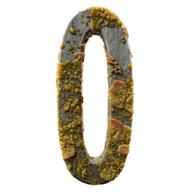 Infected O