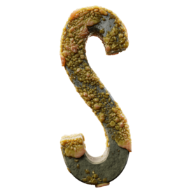 Infected S
