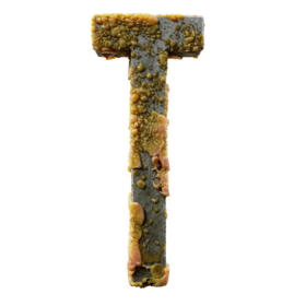 Infected T