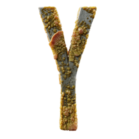 Infected Y