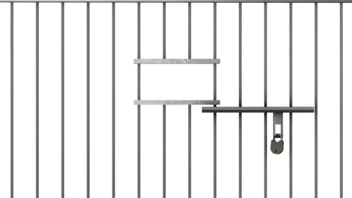 Jail Door Slam 6