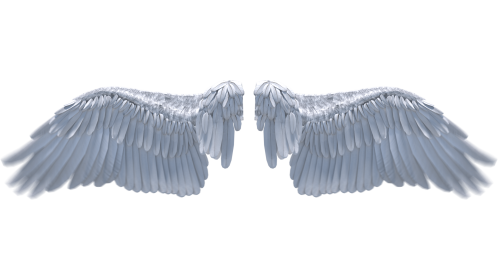(4K) Looping Angel Wings Flapping 1