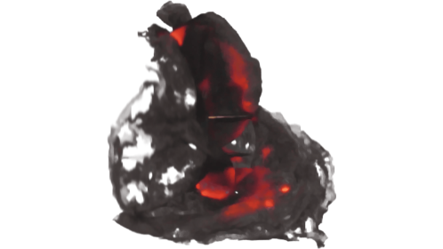 Looping Burning Ember 1