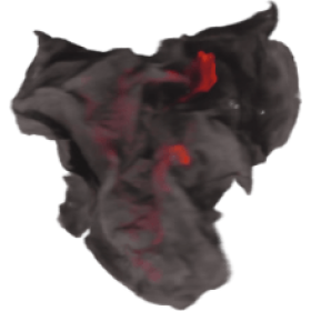 Looping Burning Ember Particle 2