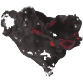 Looping Burning Ember Particle 3