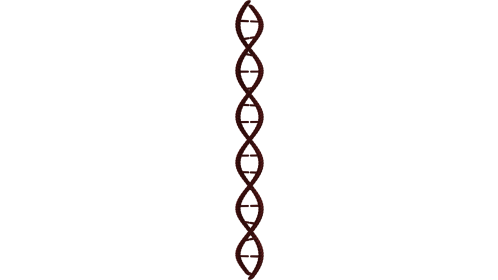 Looping DNA Molecule 2