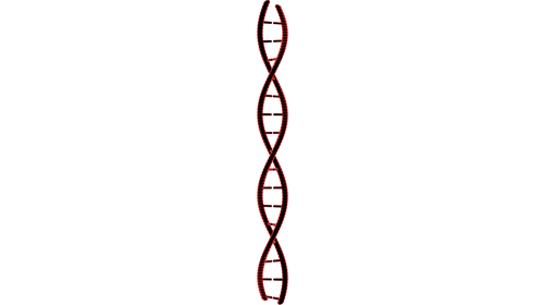 Looping DNA Molecule 6