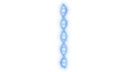 Looping DNA Molecule 7