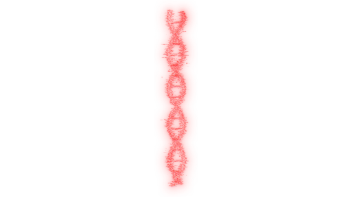 Looping DNA Molecule 9