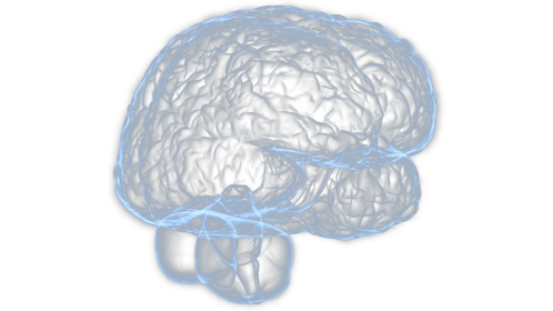 Looping Hologram Brain Spin 1