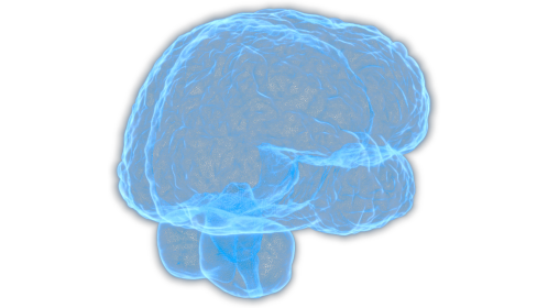 Looping Hologram Brain Spin 2