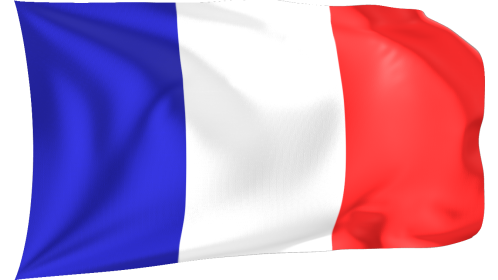 Looping Waving Flag France